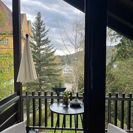 شقة غاردن بادن بادن