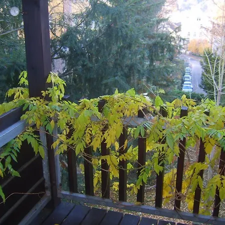 Apartment Garden